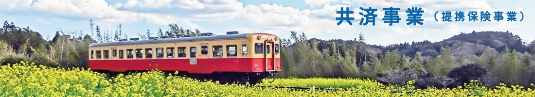 共済事業（提携保険事業）