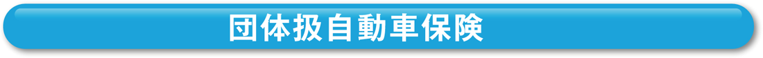 団体扱自動車保険