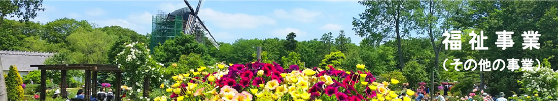 福祉事業（その他の事業）