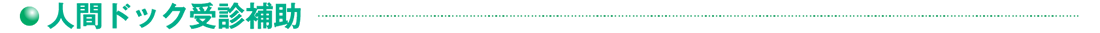 人間ドック受診補助