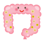 大腸のイラスト