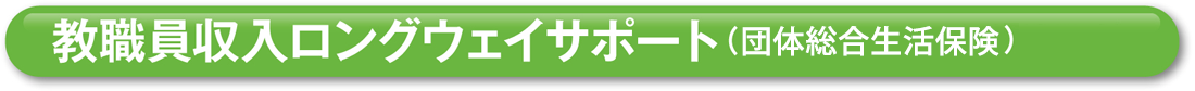 教職員収入ロングウェイサポート（団体長期障害所得補償保険）